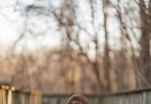 ‘근육이 건강을 지킨다’…일상 속 근력 챙기는 실천법 주목 woman sitting on wooden bridge