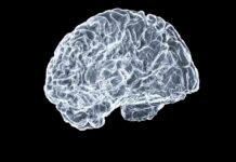 “뇌도 매일 운동이 필요합니다”… 일상 속 실천하는 뇌건강 습관 a close up of a human brain on a black background