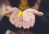 마음 챙김, ‘마음 건강’의 새로운 열쇠… 일상 속 행복 찾기 selective focus photography of woman holding yellow petaled flowers