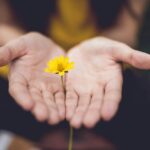 마음 챙김, ‘마음 건강’의 새로운 열쇠… 일상 속 행복 찾기 selective focus photography of woman holding yellow petaled flowers