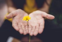 마음 챙김, ‘마음 건강’의 새로운 열쇠… 일상 속 행복 찾기 selective focus photography of woman holding yellow petaled flowers