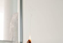 일상에서 실천하는 대체요법, 건강한 생활의 새로운 선택지 person holding orange flower in front of white wall