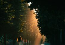 아침 걷기 열풍 확산, 일상 속에서 건강 챙기는 법 A person with long hair walking down a tree-lined path in golden light